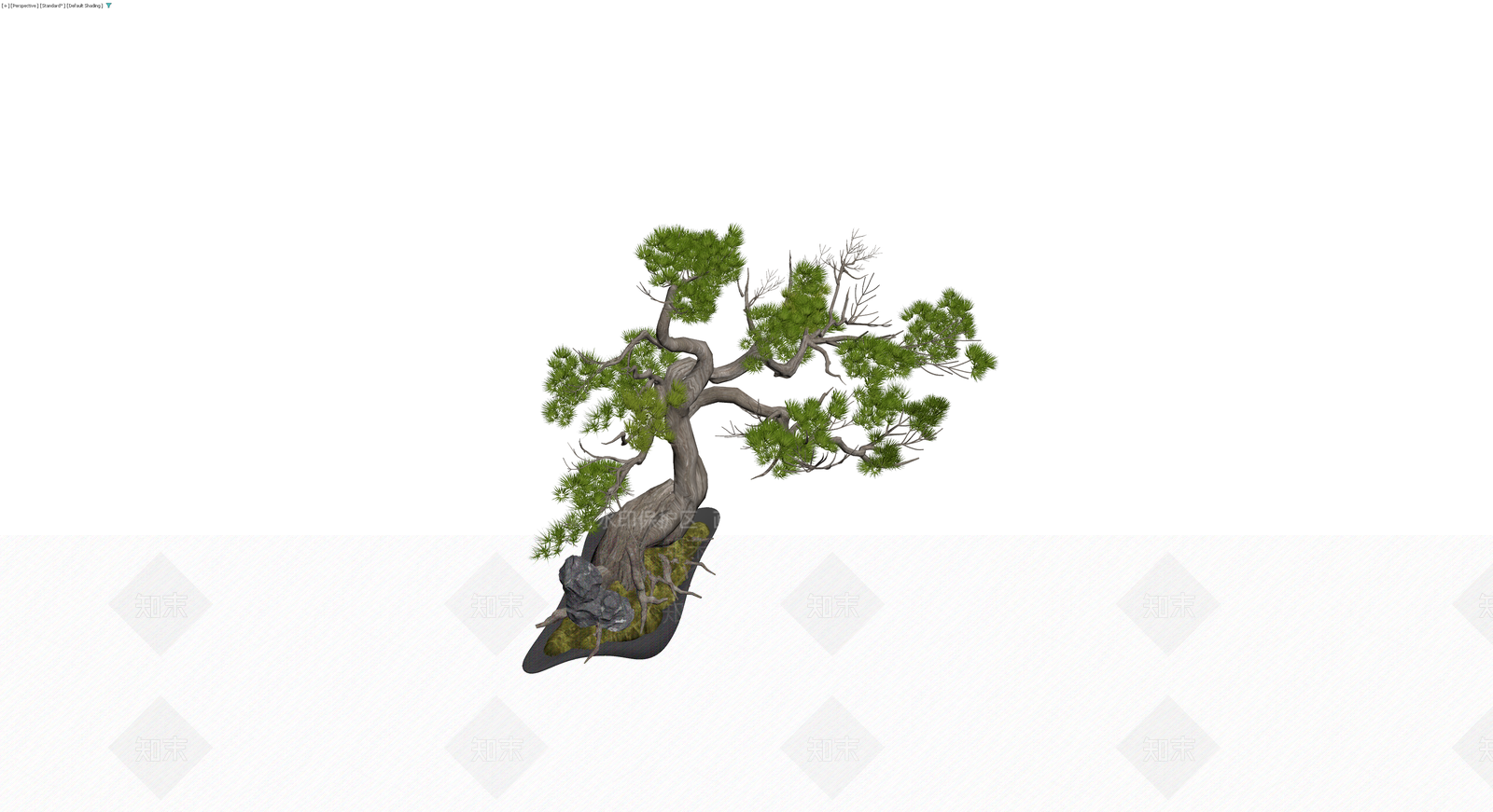 盆景松树带盆石3D模型下载【ID:1230353025】