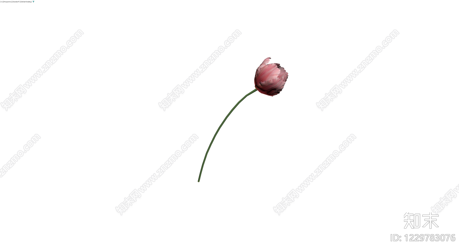 粉色郁金香模型3D模型下载【ID:1229783076】