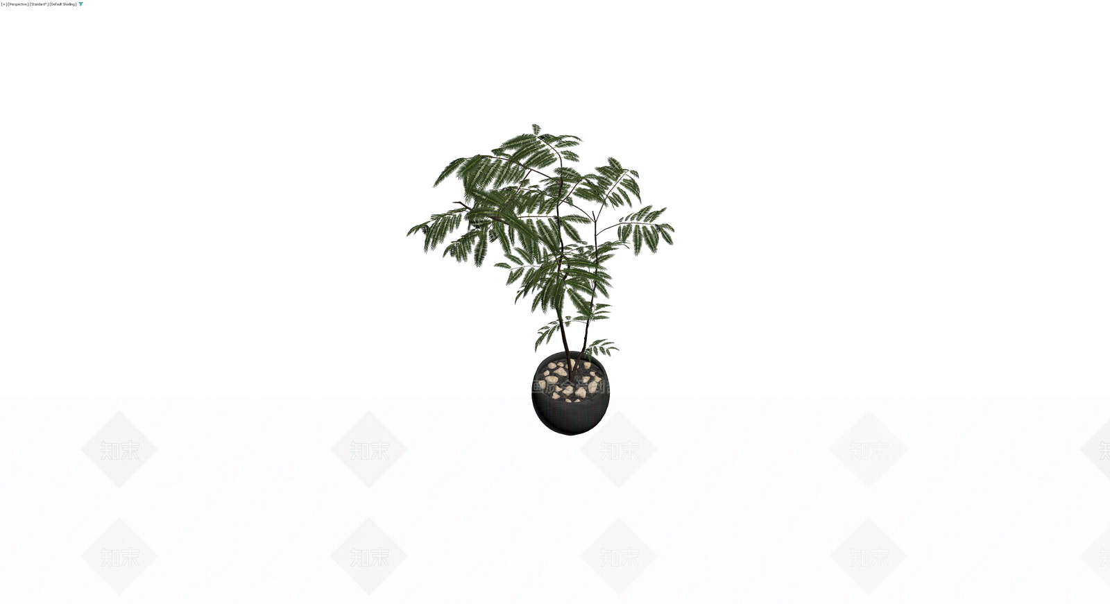 黑色花盆盆栽植物3D模型下载【ID:1229939517】