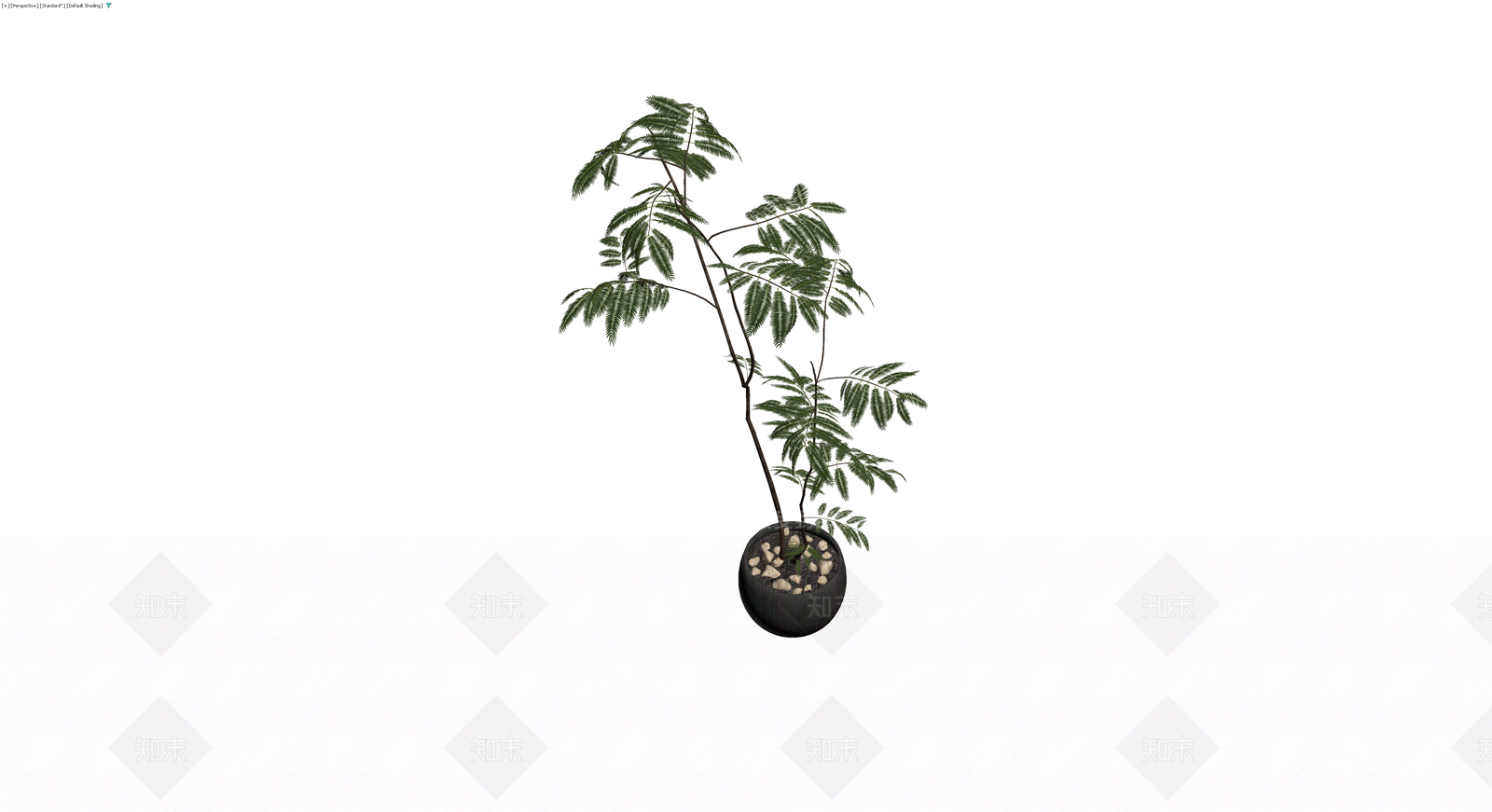 黑色花盆盆栽植物3D模型下载【ID:1229939517】