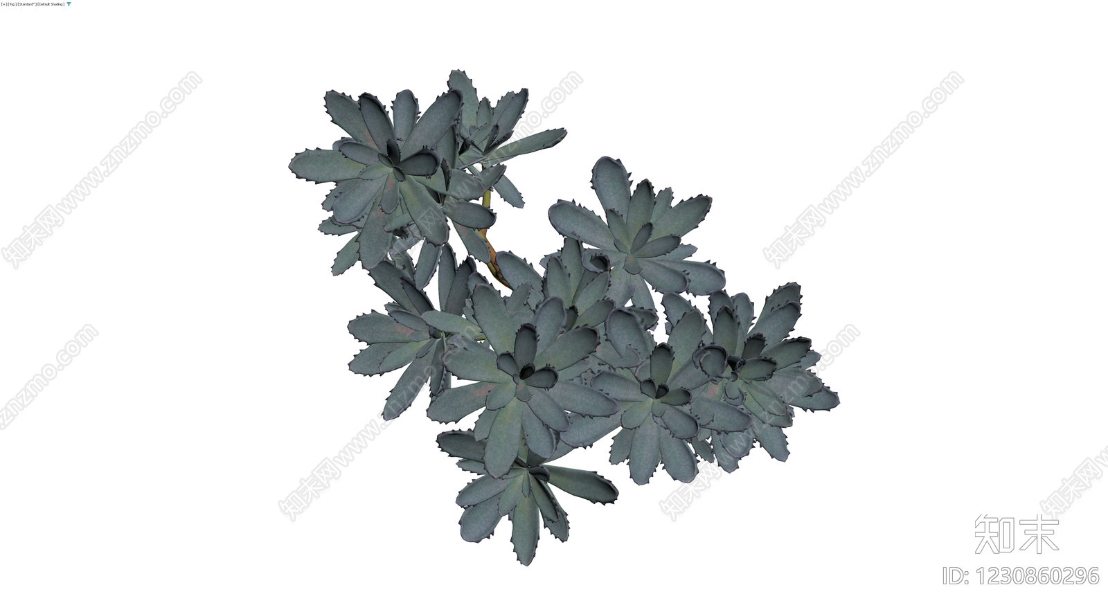 多肉植物盆栽组合3D模型下载【ID:1230860296】