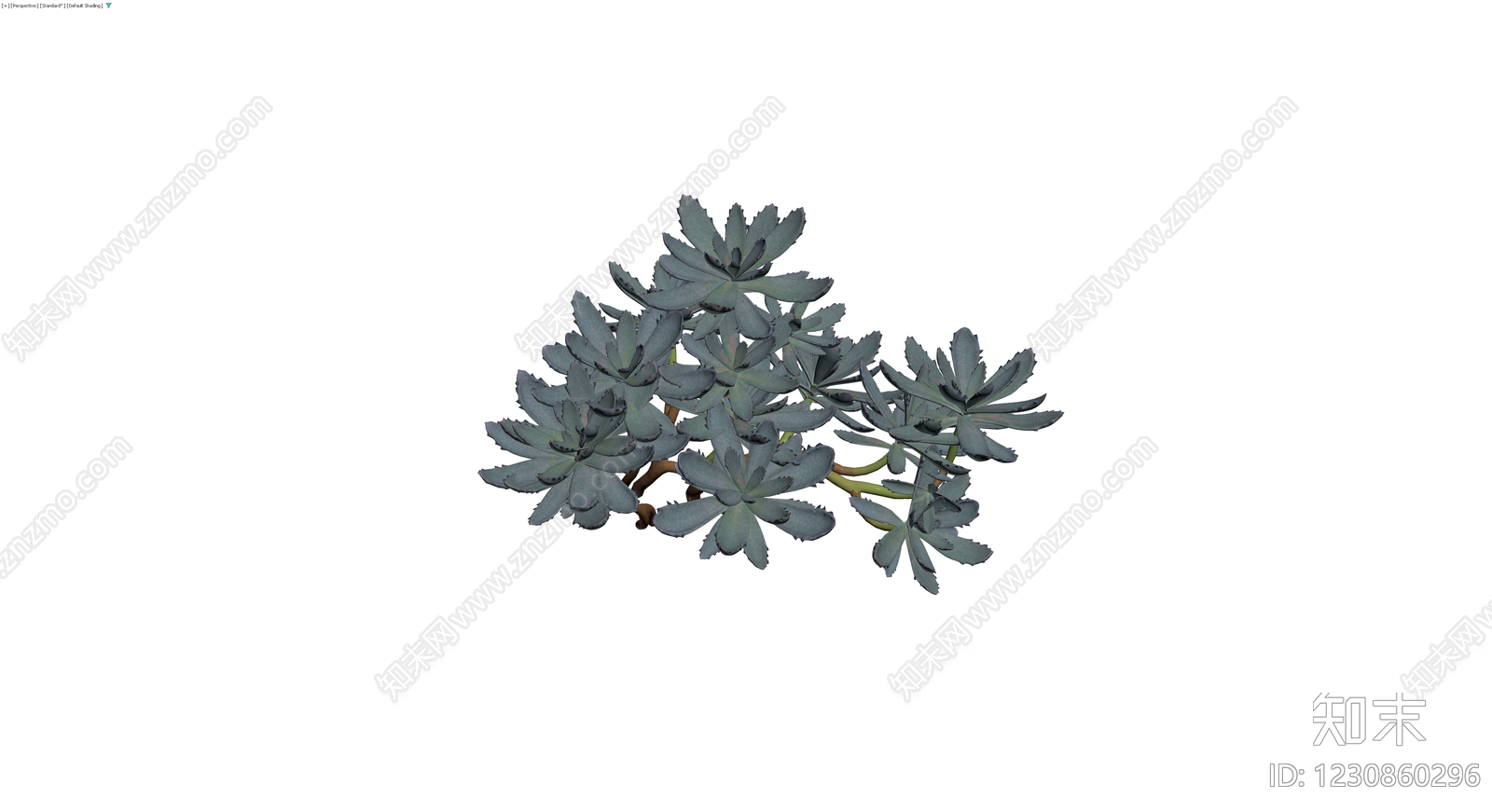 多肉植物盆栽组合3D模型下载【ID:1230860296】