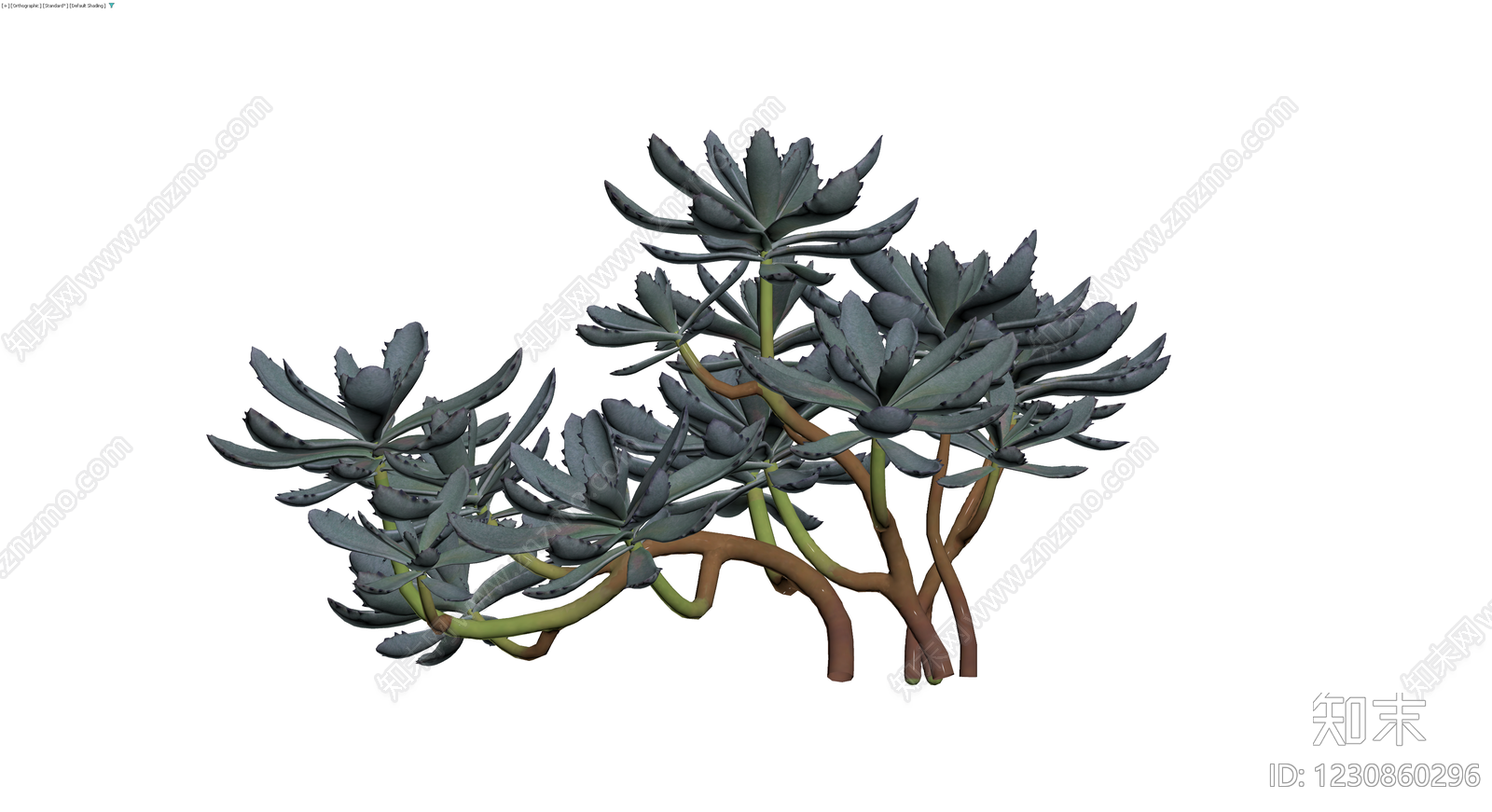 多肉植物盆栽组合3D模型下载【ID:1230860296】
