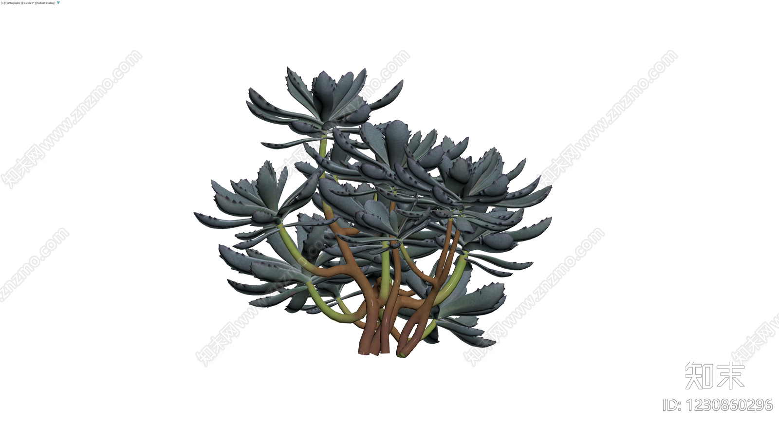 多肉植物盆栽组合3D模型下载【ID:1230860296】