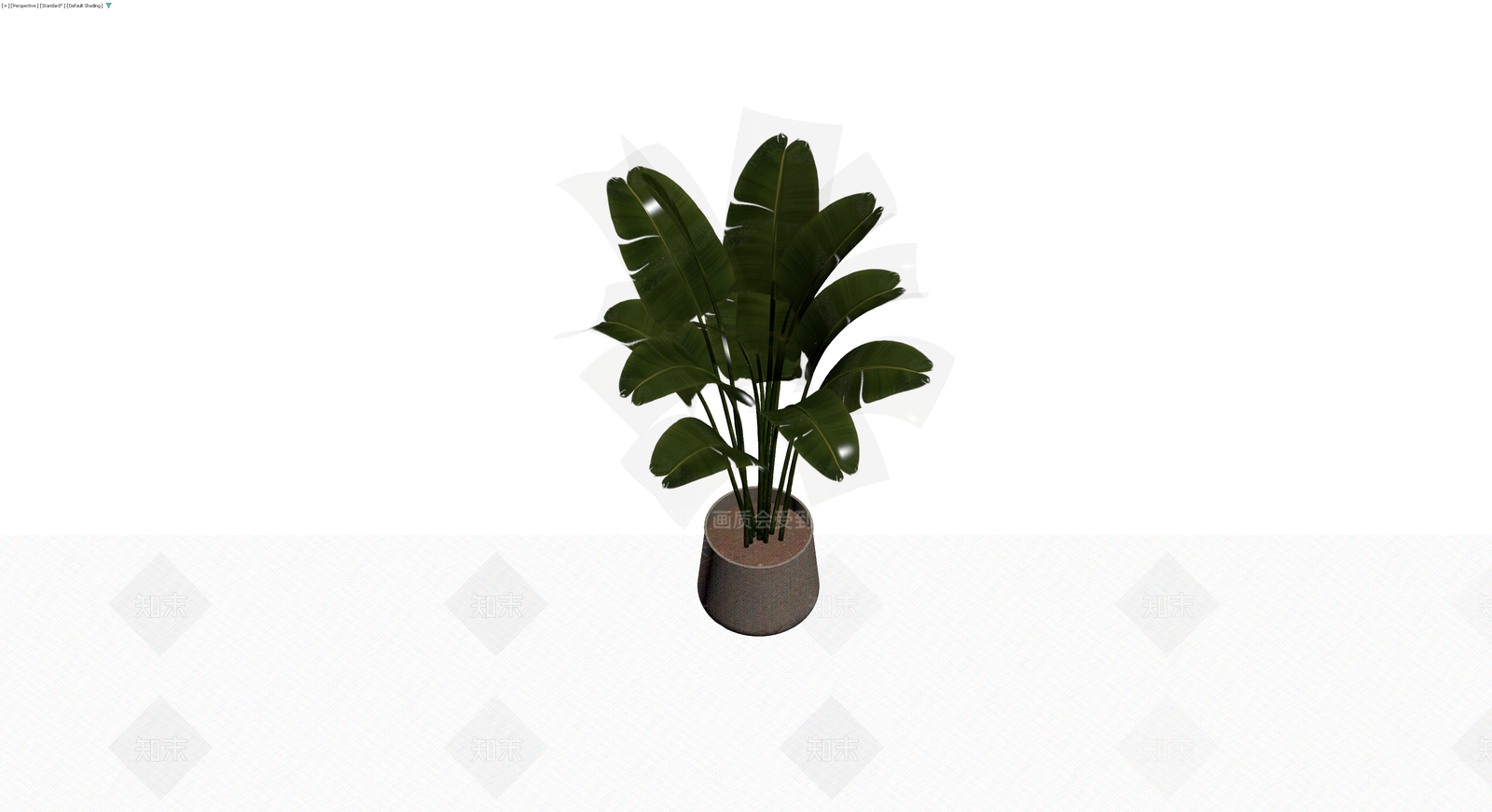 盆栽绿植（带盆）3D模型下载【ID:1230755350】