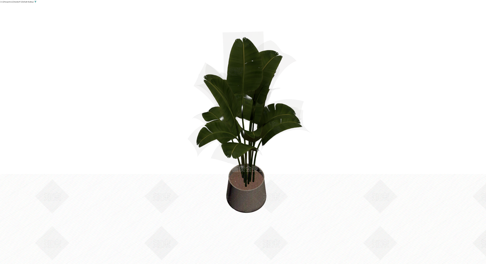 盆栽绿植（带盆）3D模型下载【ID:1230755350】