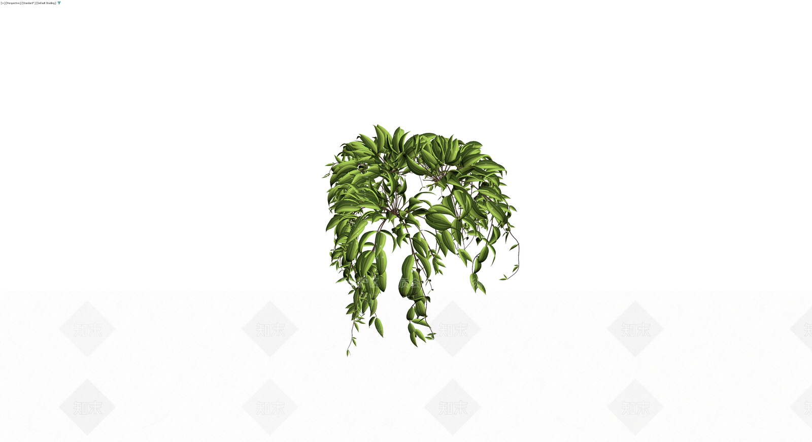 垂吊绿植盆栽模型3D模型下载【ID:1230091220】