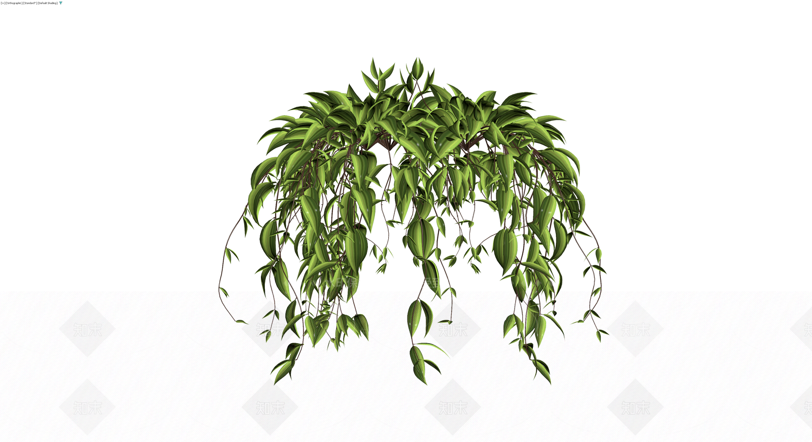 垂吊绿植盆栽模型3D模型下载【ID:1230091220】