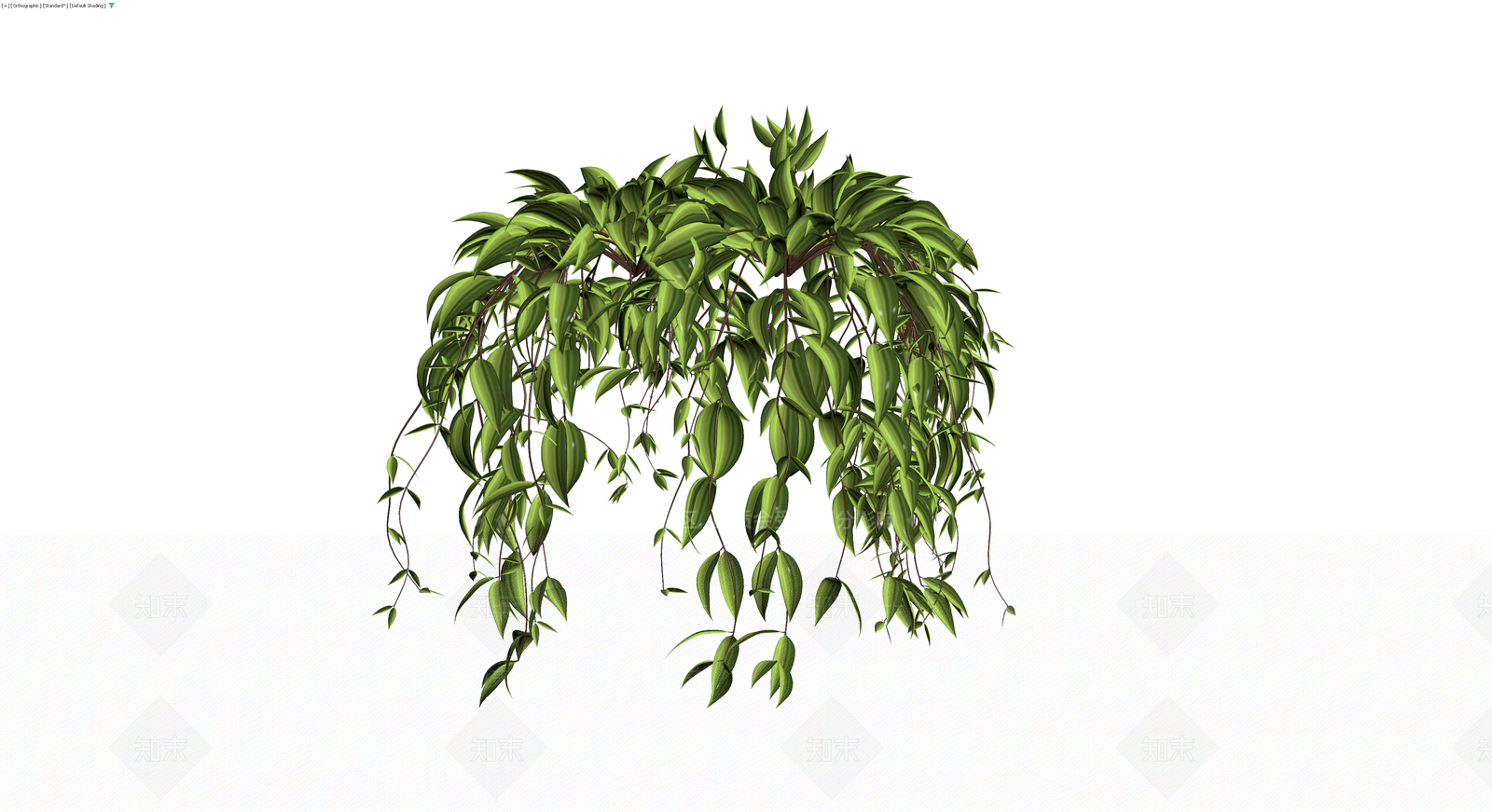 垂吊绿植盆栽模型3D模型下载【ID:1230091220】