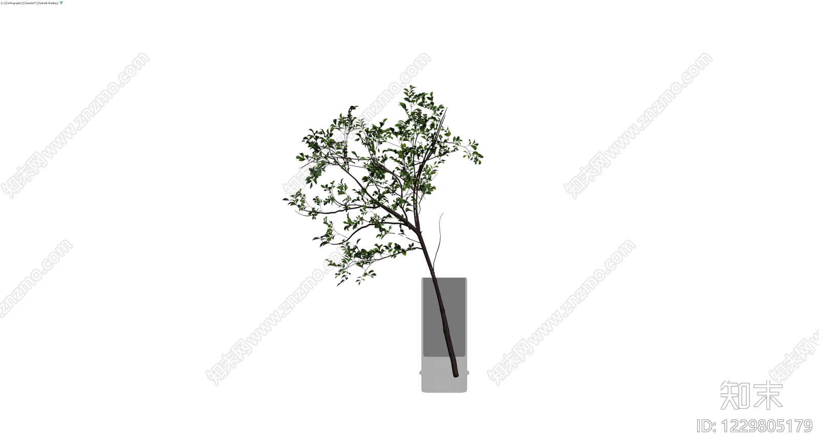 盆栽绿植带盆3D模型下载【ID:1229805179】