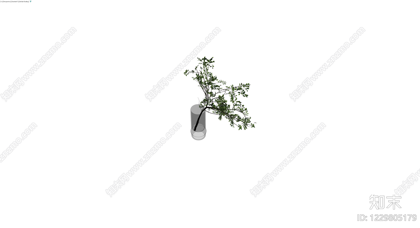 盆栽绿植带盆3D模型下载【ID:1229805179】
