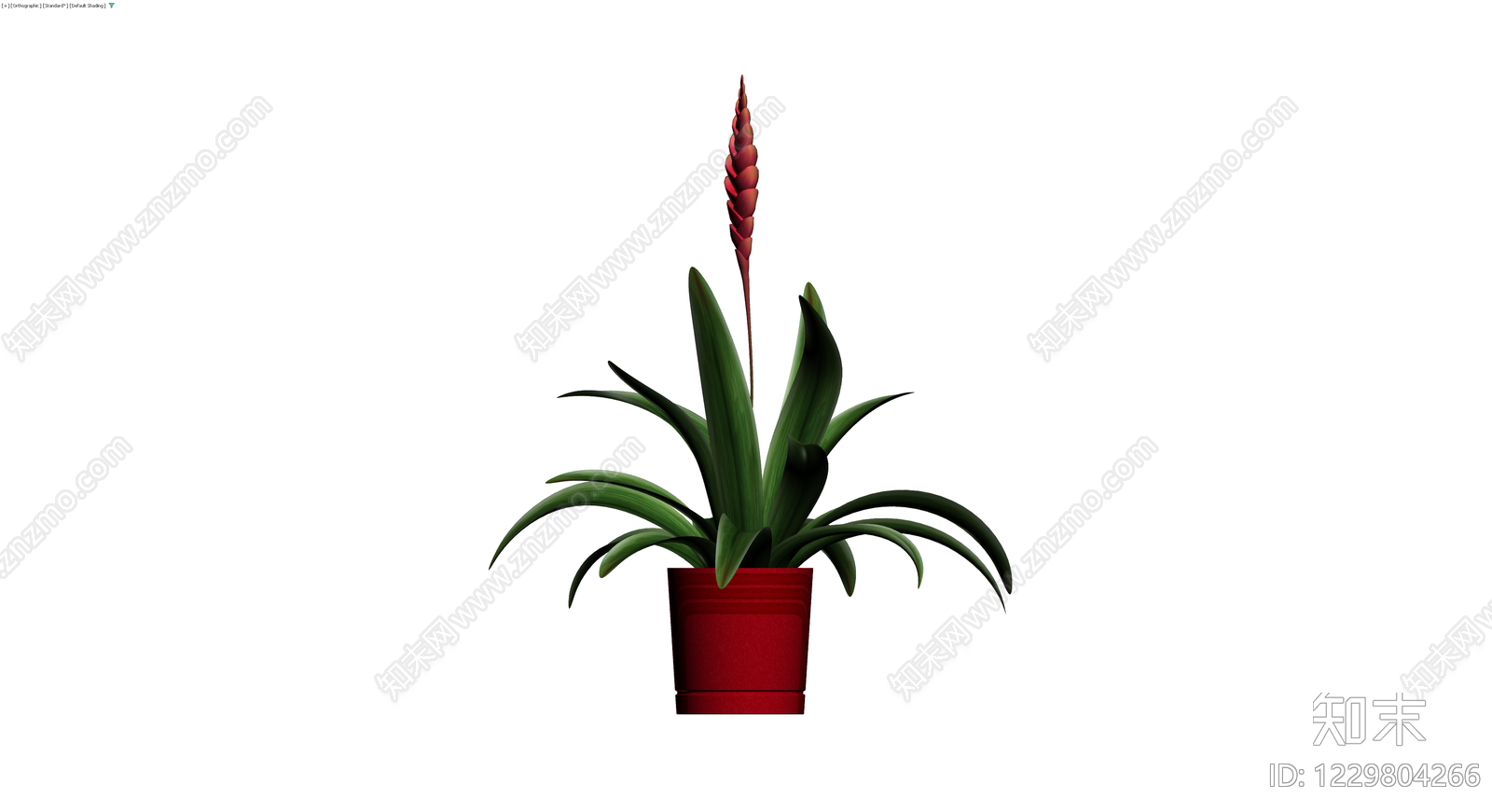 红色盆栽观赏植物3D模型下载【ID:1229804266】