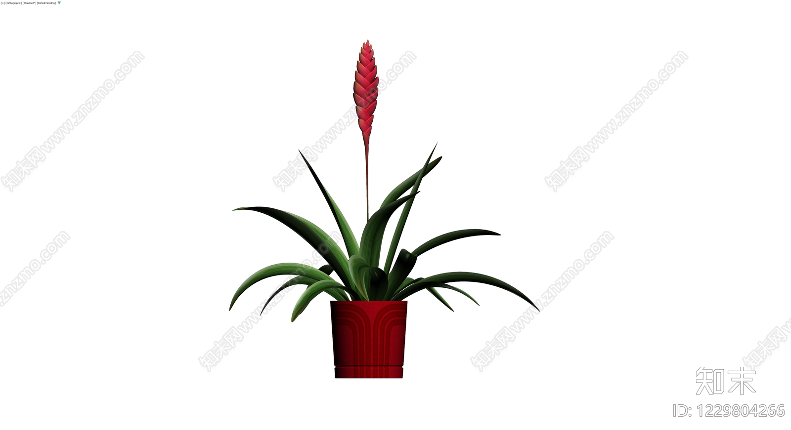 红色盆栽观赏植物3D模型下载【ID:1229804266】