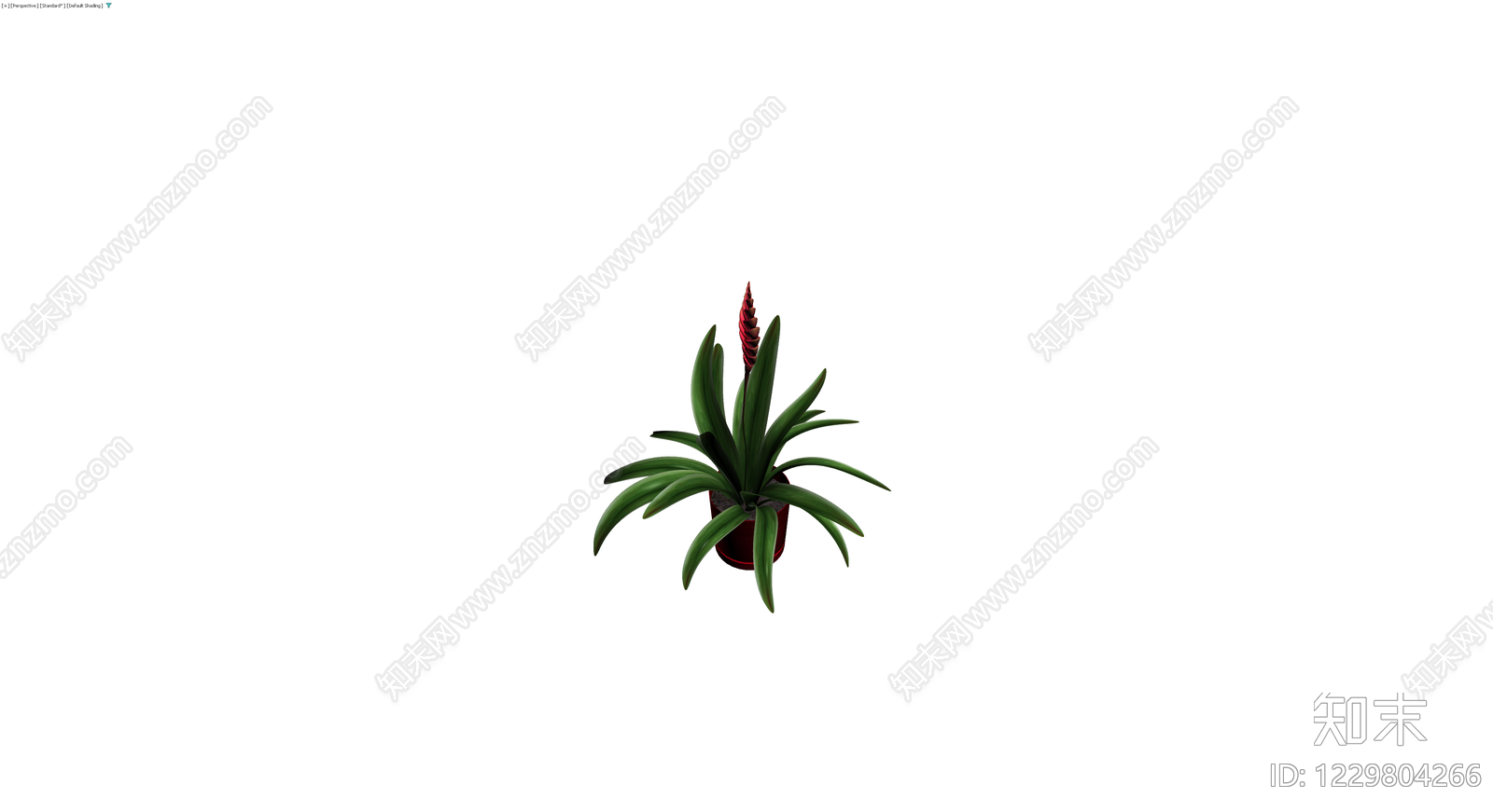红色盆栽观赏植物3D模型下载【ID:1229804266】