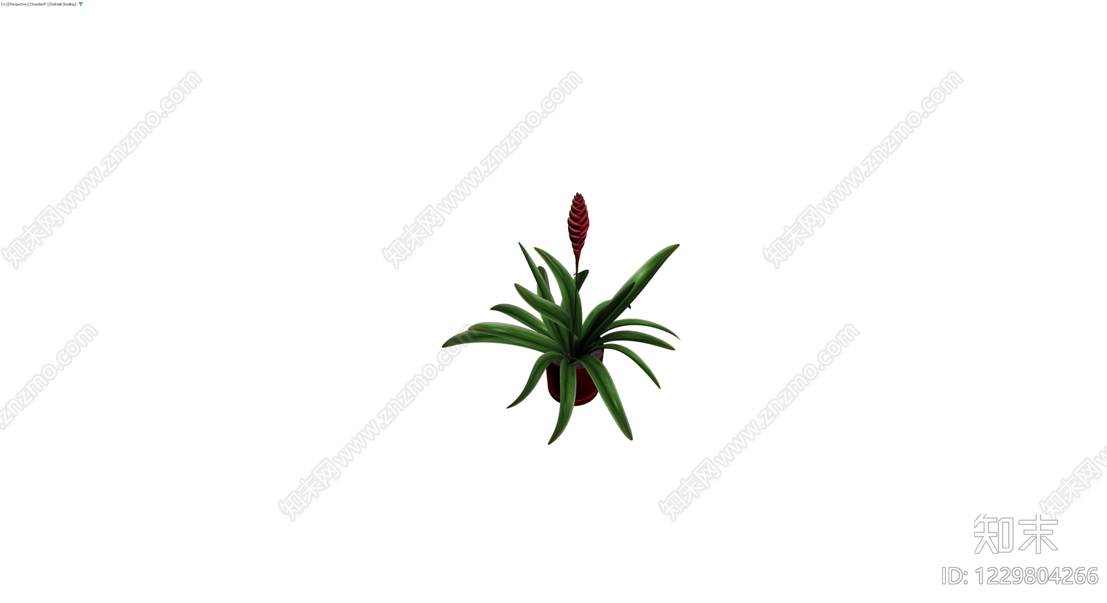 红色盆栽观赏植物3D模型下载【ID:1229804266】