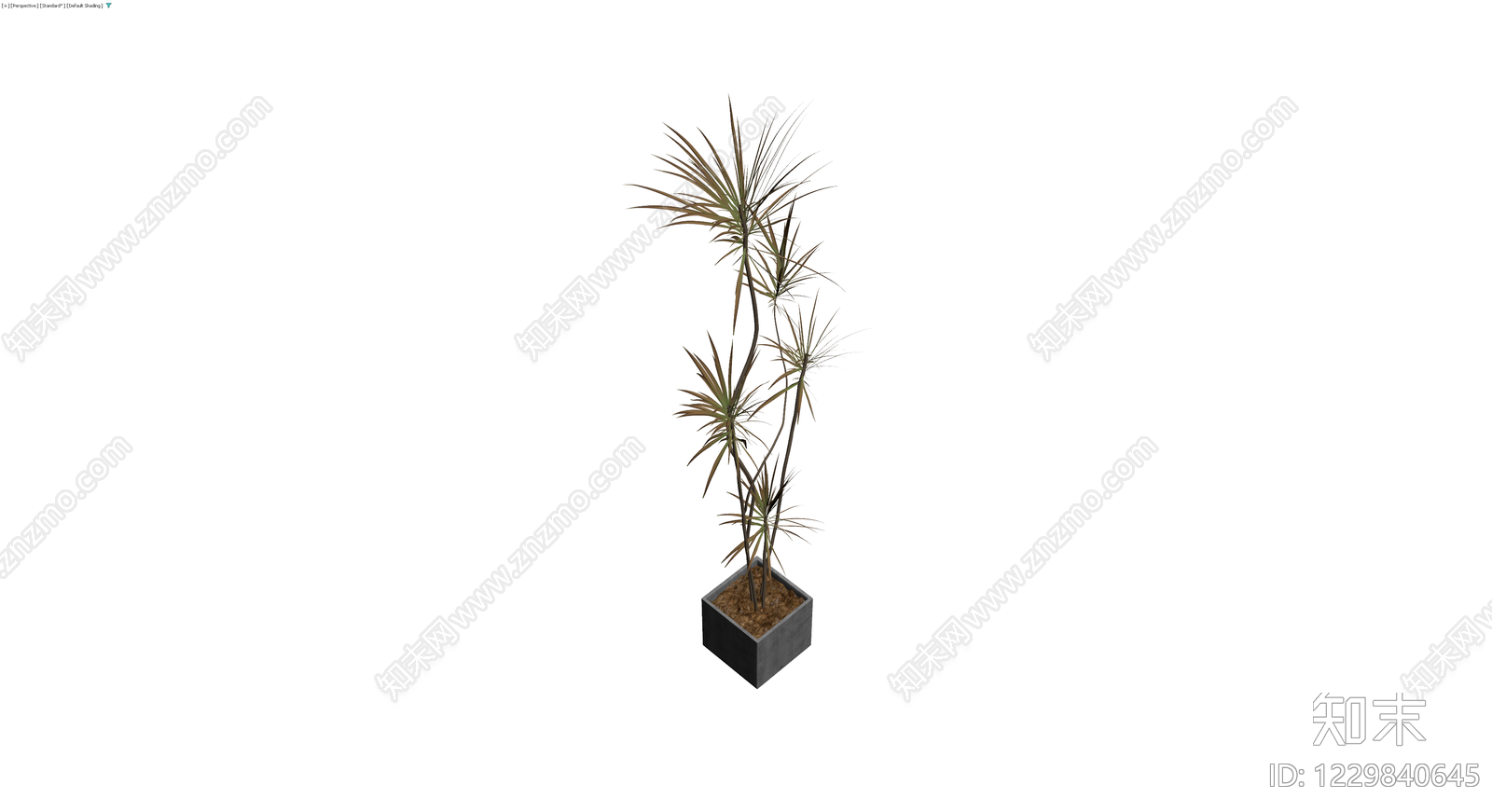盆栽植物带盆3D模型下载【ID:1229840645】