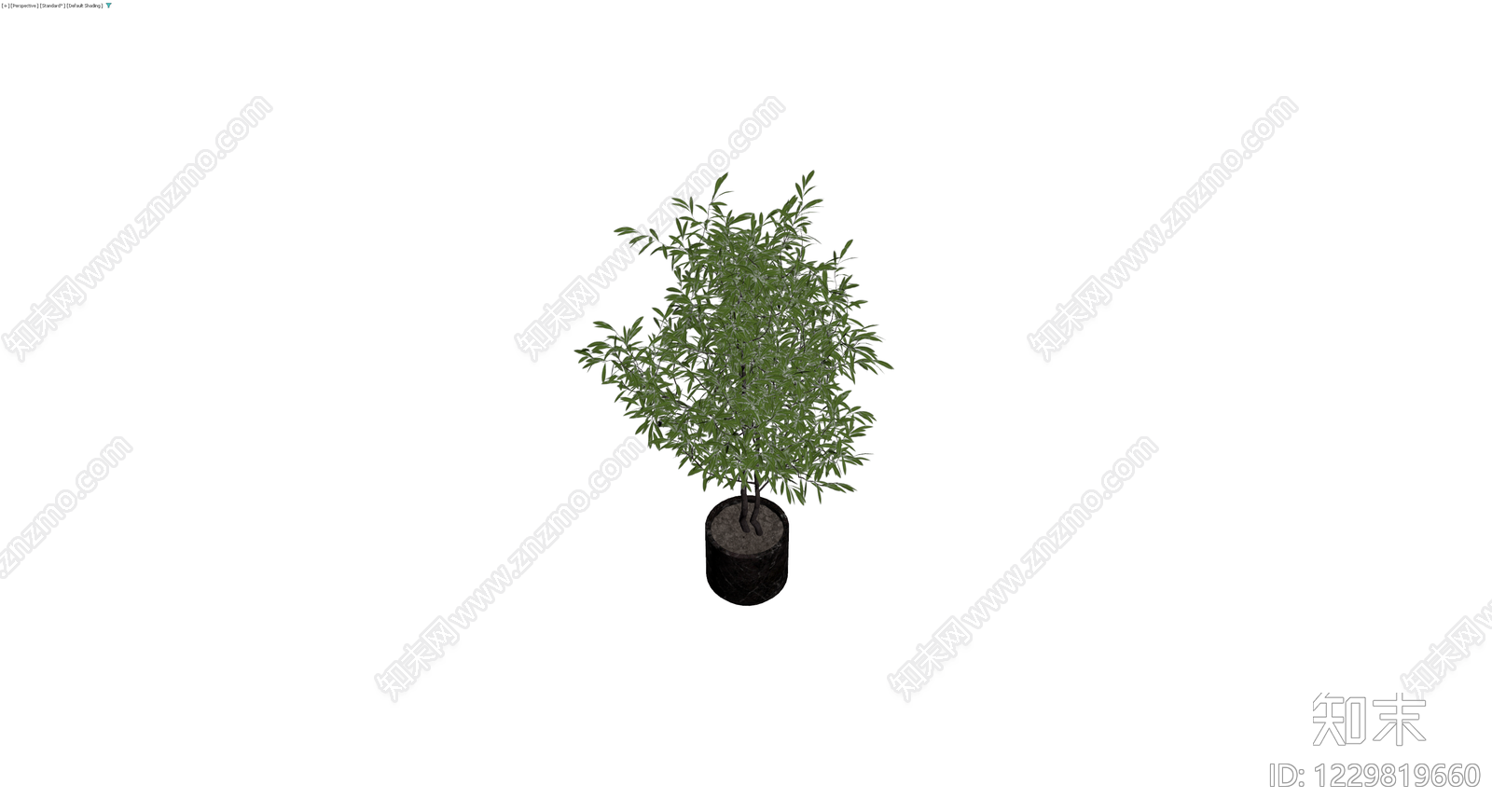 盆栽绿植（带盆）3D模型下载【ID:1229819660】