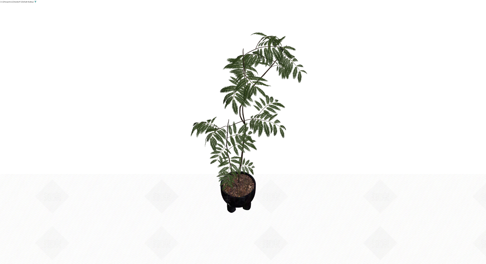 黑色花盆盆栽植物3D模型下载【ID:1230588763】