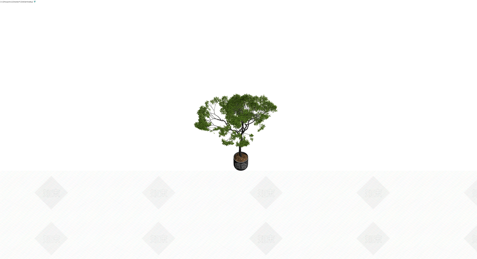 带盆景观树模型3D模型下载【ID:1229923786】