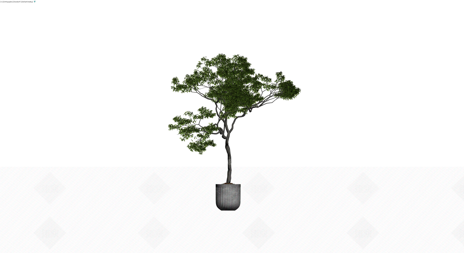 带盆景观树模型3D模型下载【ID:1229923786】