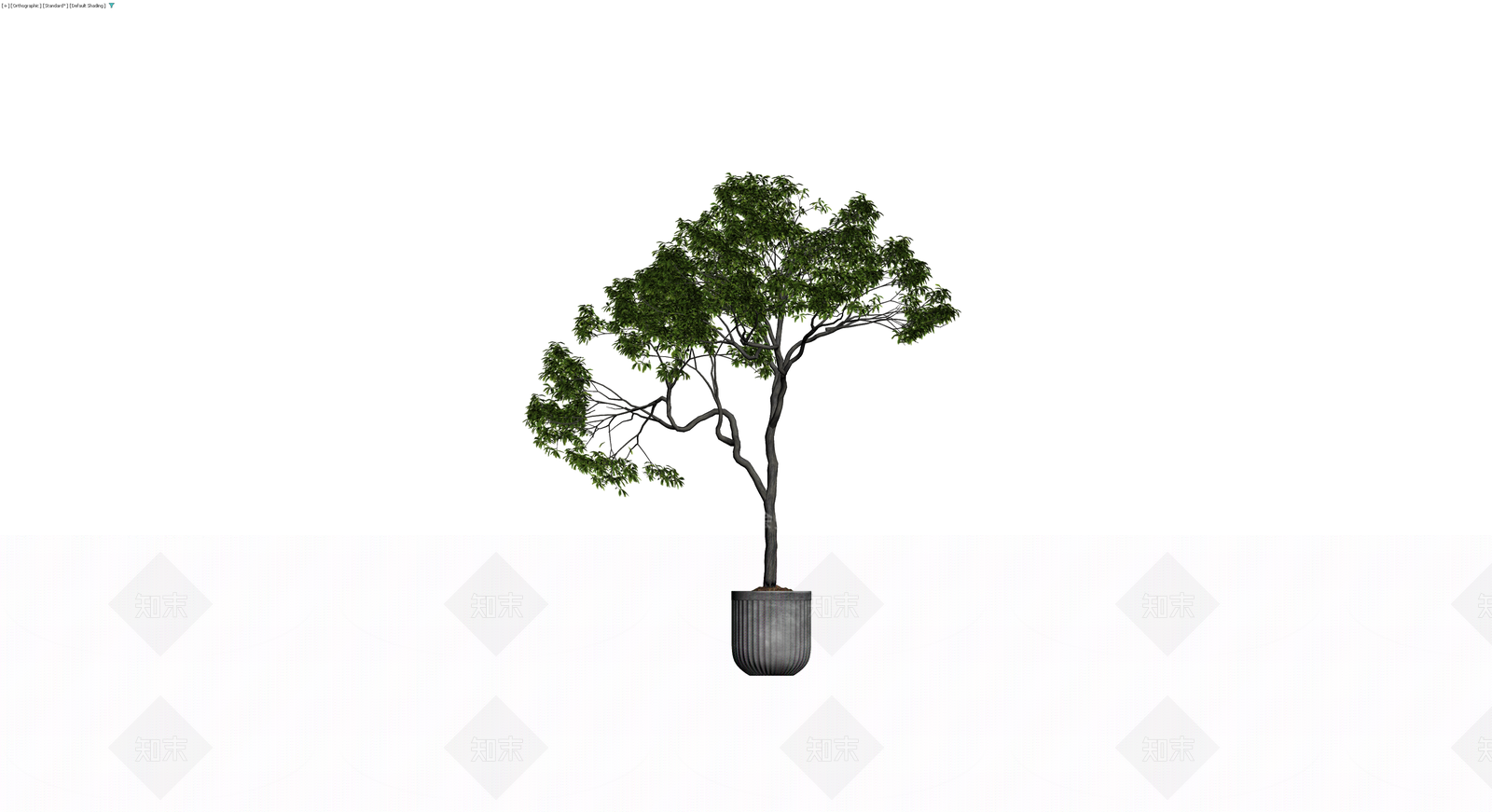 带盆景观树模型3D模型下载【ID:1229923786】