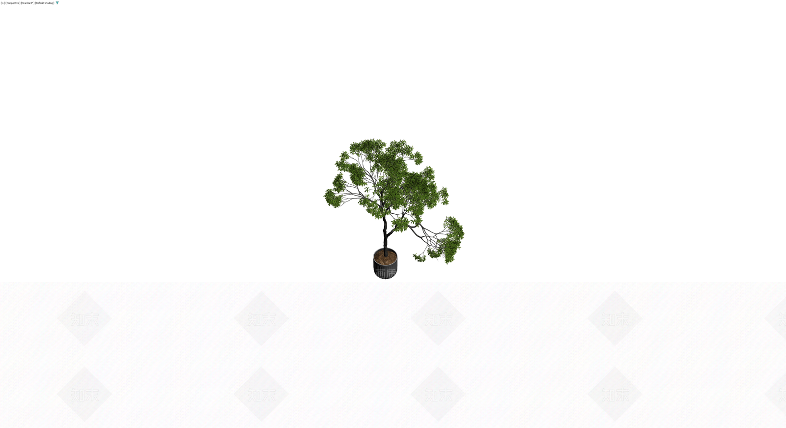 带盆景观树模型3D模型下载【ID:1229923786】