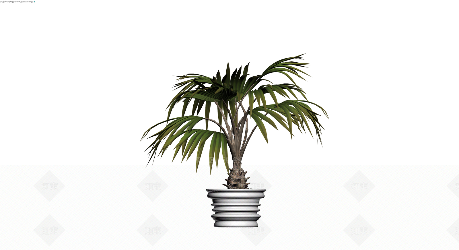 带盆棕榈植物盆栽3D模型下载【ID:1230557151】