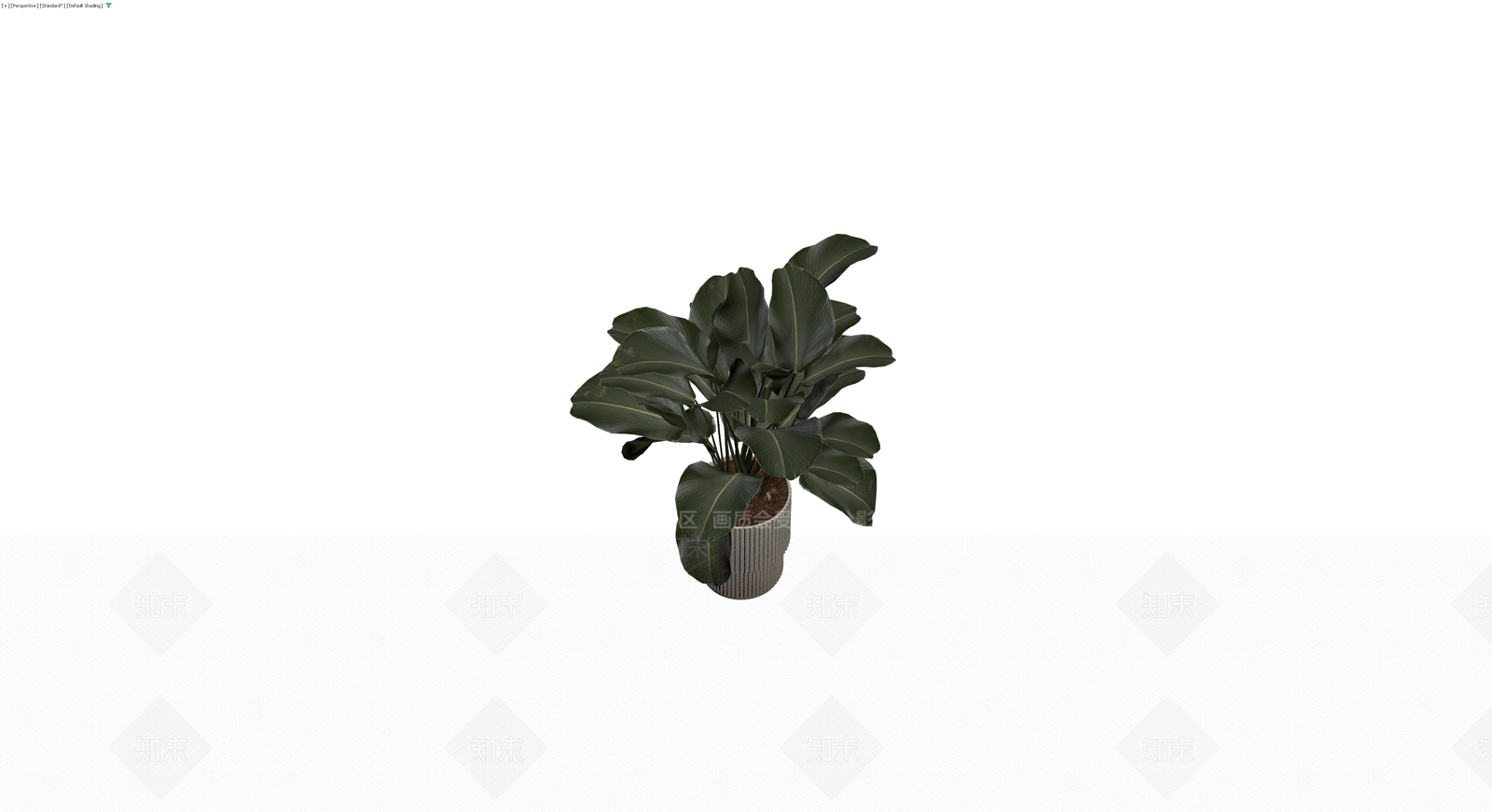 带盆深绿大型盆栽3D模型下载【ID:1230717441】