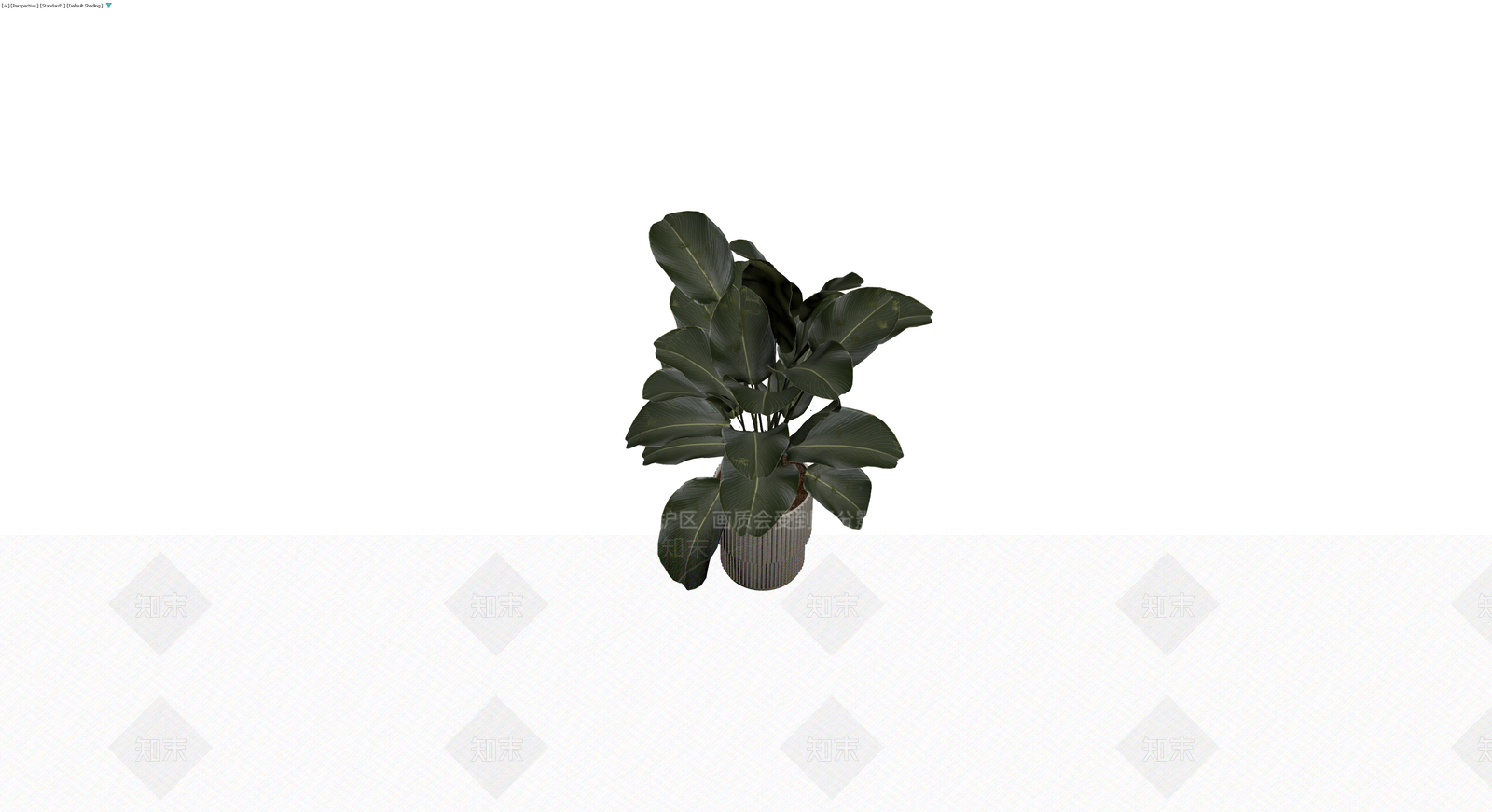 带盆深绿大型盆栽3D模型下载【ID:1230717441】