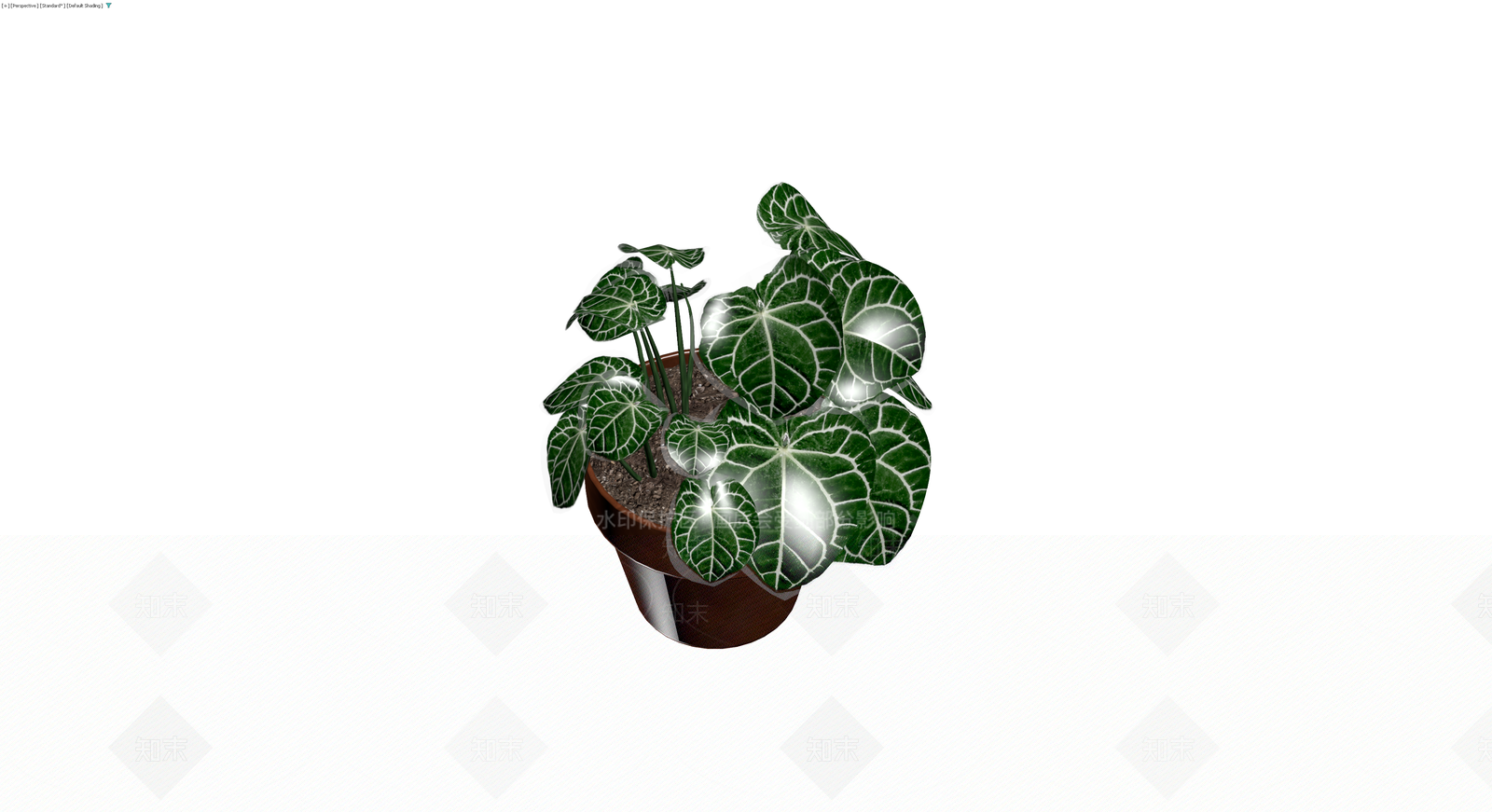 白脉花烛盆栽模型3D模型下载【ID:1230392983】