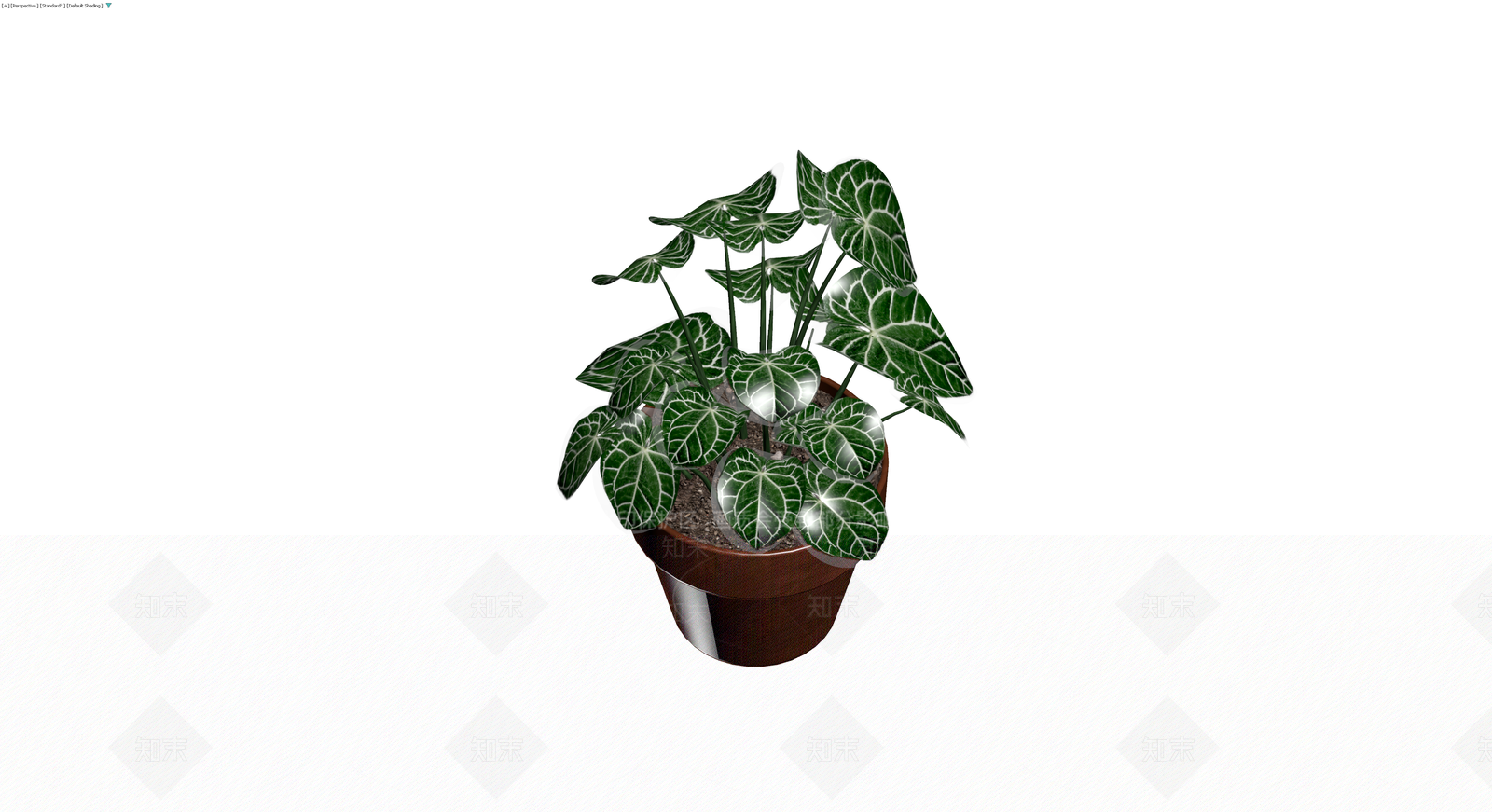 白脉花烛盆栽模型3D模型下载【ID:1230392983】