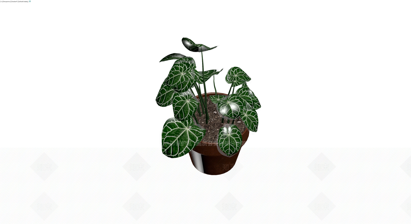 白脉花烛盆栽模型3D模型下载【ID:1230392983】