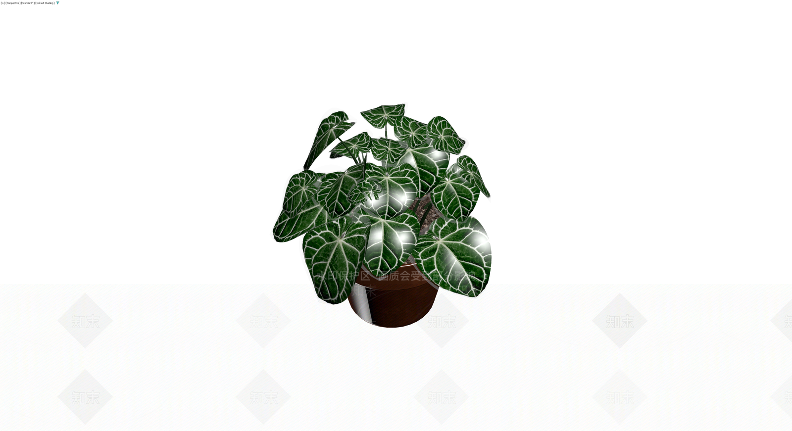 白脉花烛盆栽模型3D模型下载【ID:1230392983】