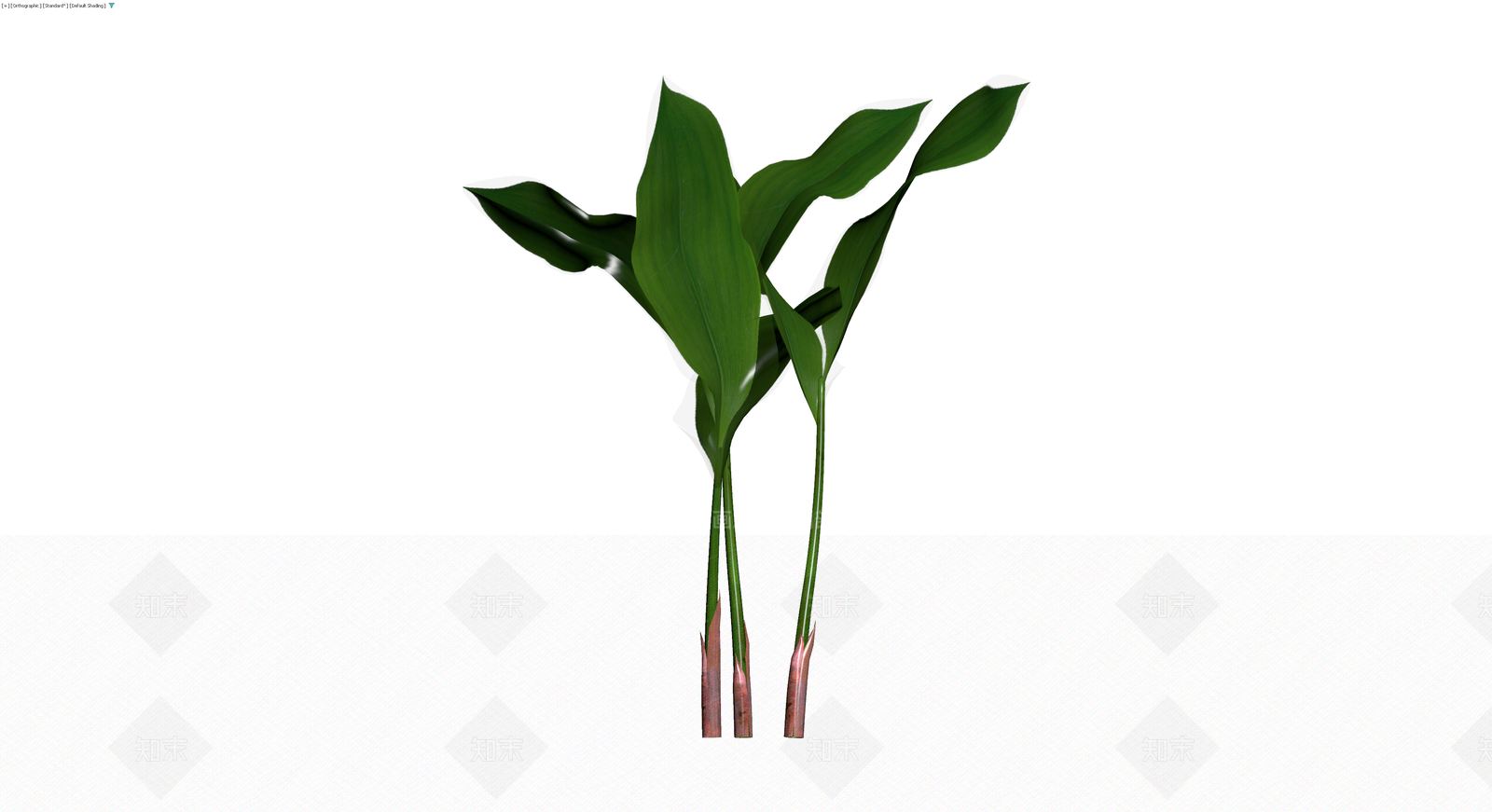 野生大蒜植物组合3D模型下载【ID:1230420721】