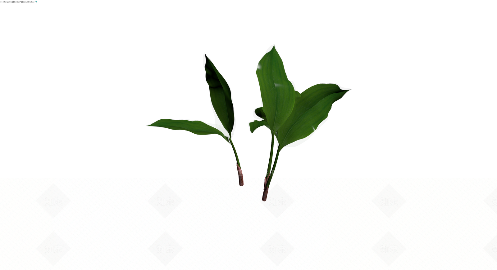野生大蒜植物组合3D模型下载【ID:1230420721】