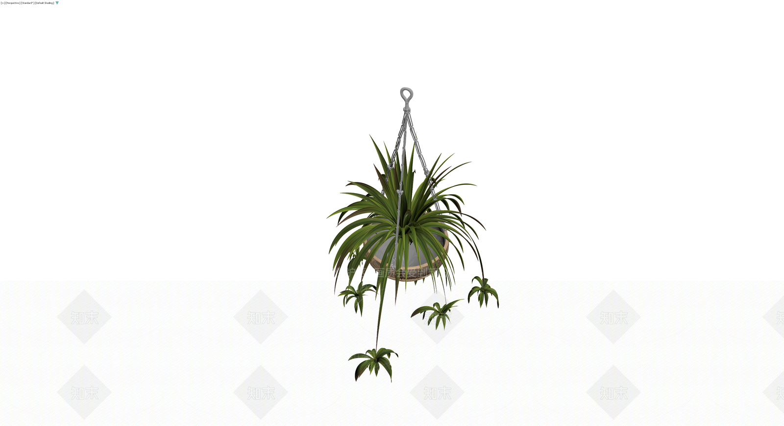 悬挂盆栽植物3D模型下载【ID:1230746564】