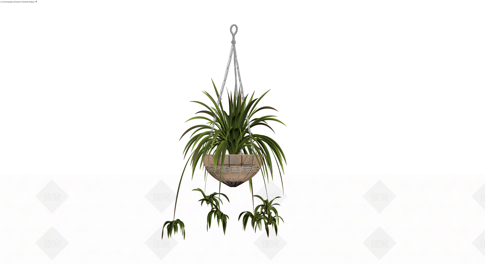 悬挂盆栽植物3D模型下载【ID:1230746564】