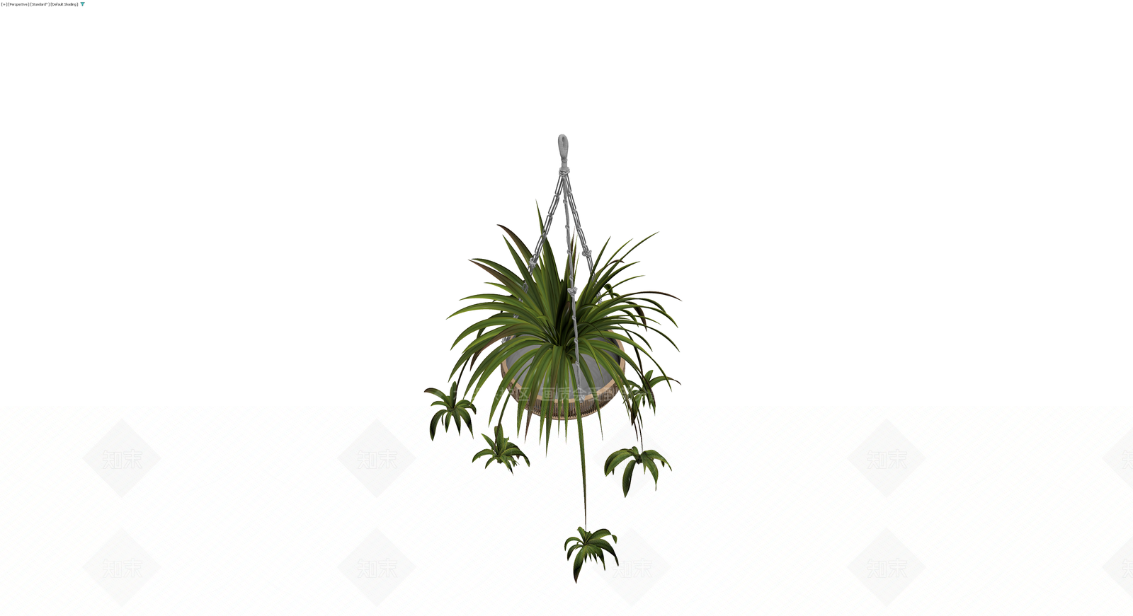 悬挂盆栽植物3D模型下载【ID:1230746564】