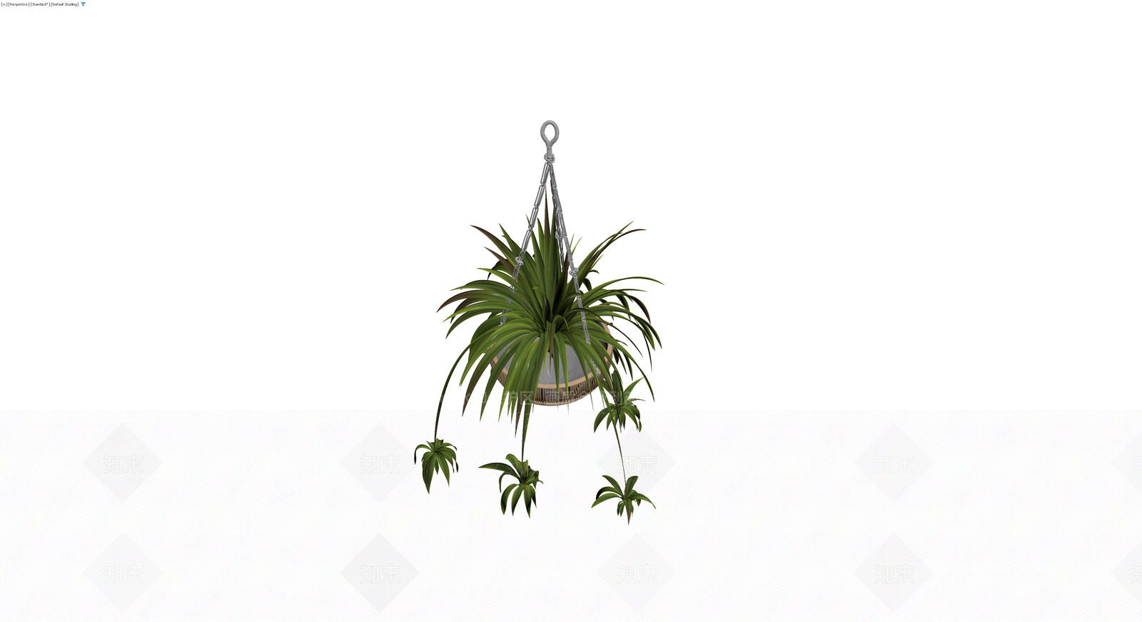 悬挂盆栽植物3D模型下载【ID:1230746564】