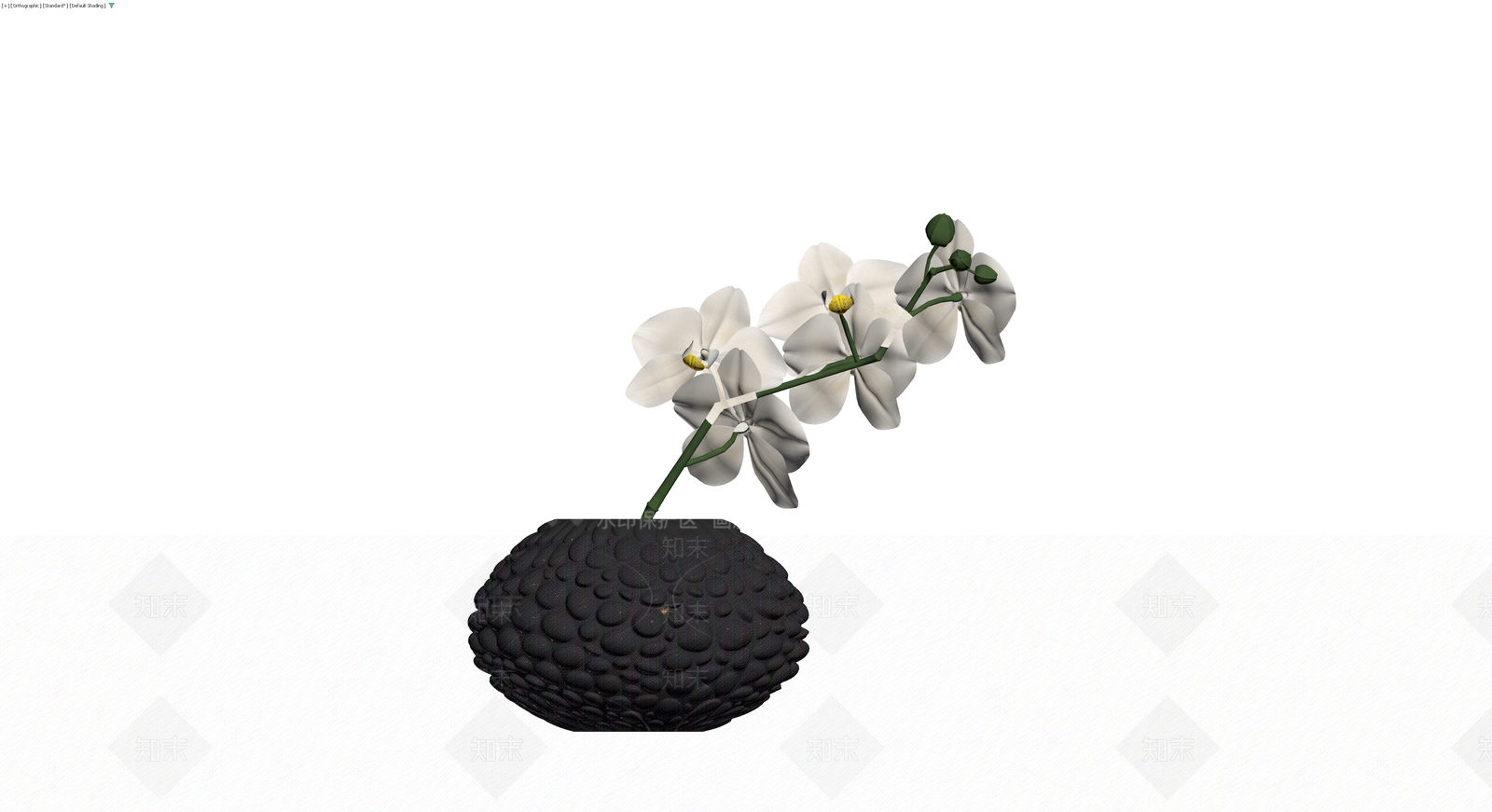 白色蝴蝶兰盆栽3D模型下载【ID:1230727859】