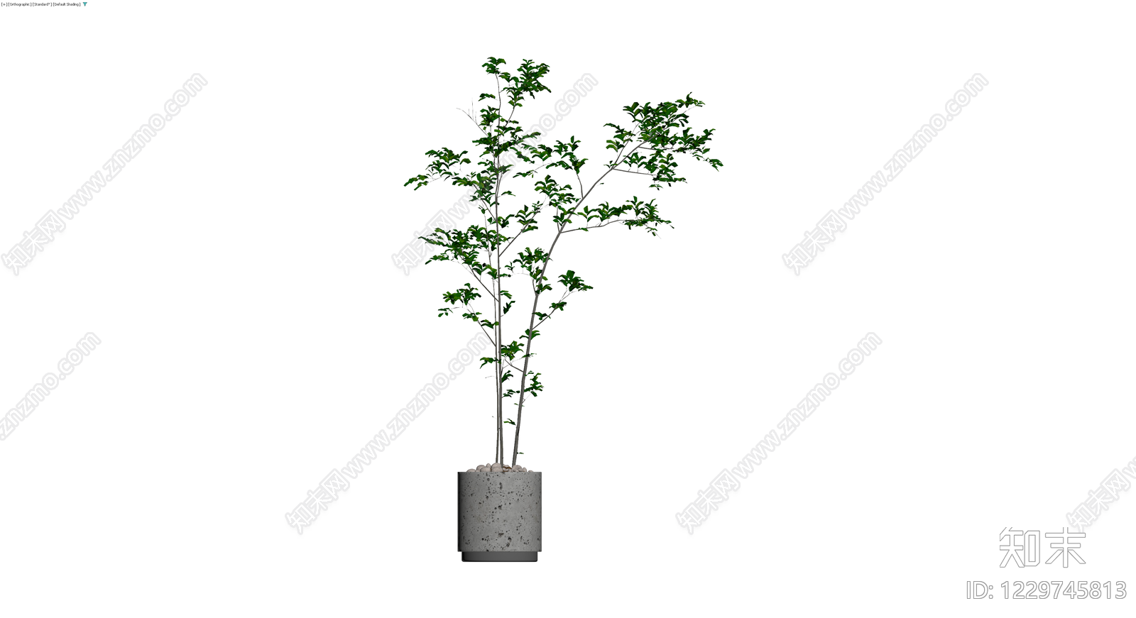 盆栽绿植（带盆）3D模型下载【ID:1229745813】