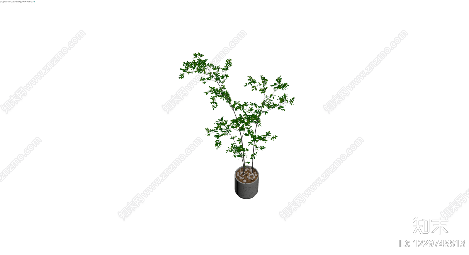 盆栽绿植（带盆）3D模型下载【ID:1229745813】