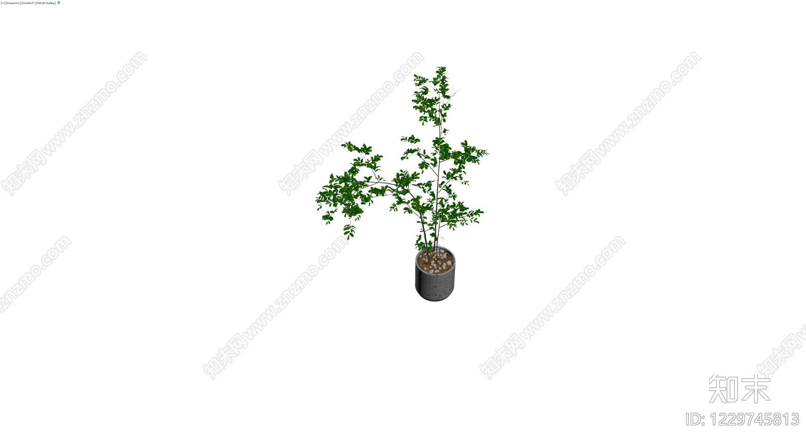 盆栽绿植（带盆）3D模型下载【ID:1229745813】