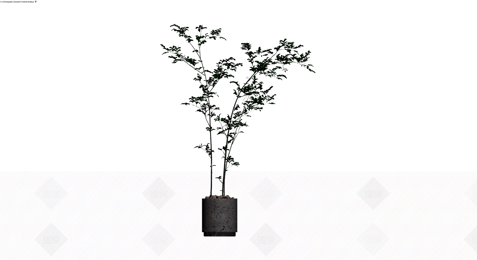 黑色花盆绿植盆栽3D模型下载【ID:1230113317】