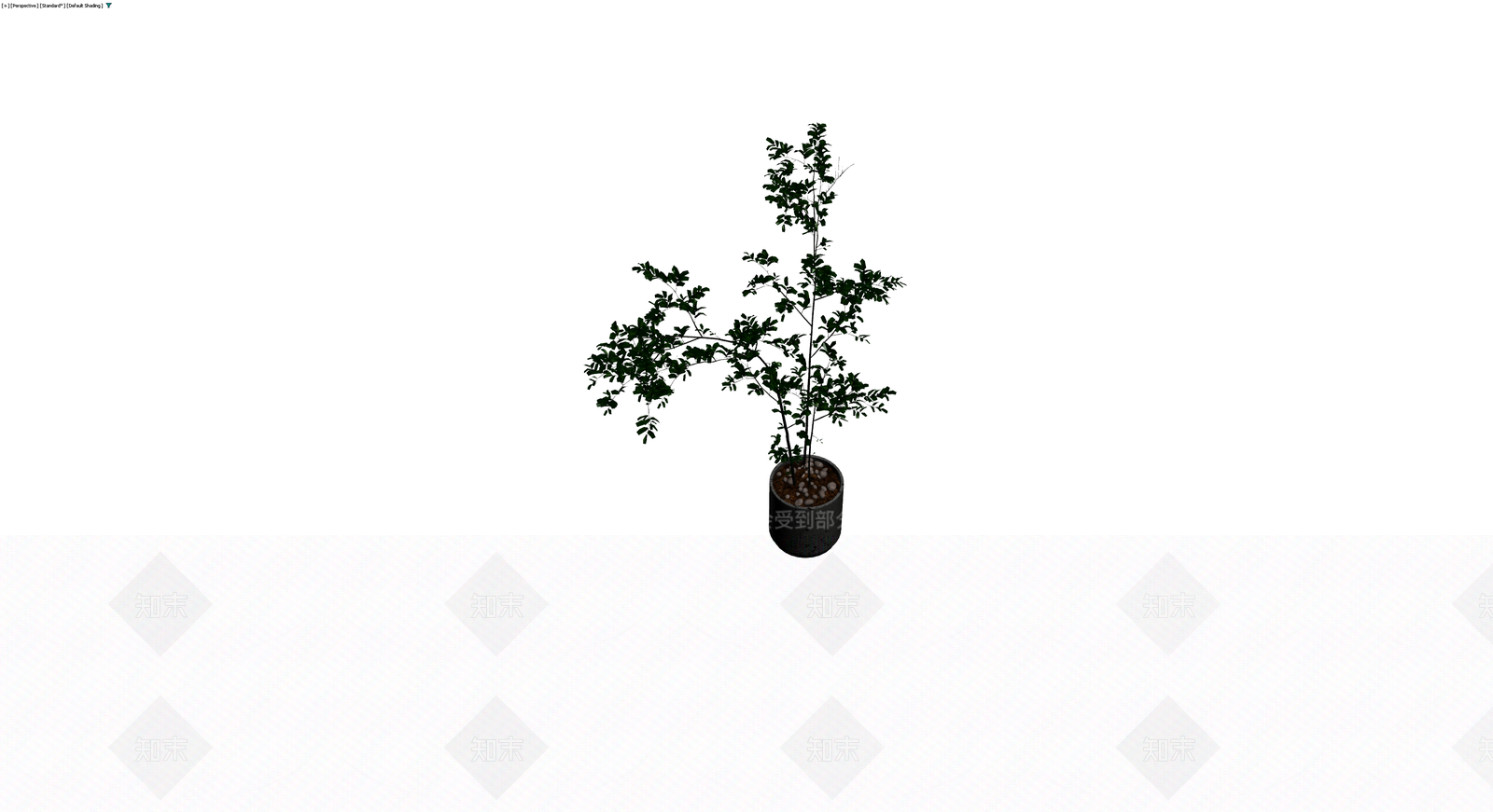 黑色花盆绿植盆栽3D模型下载【ID:1230113317】