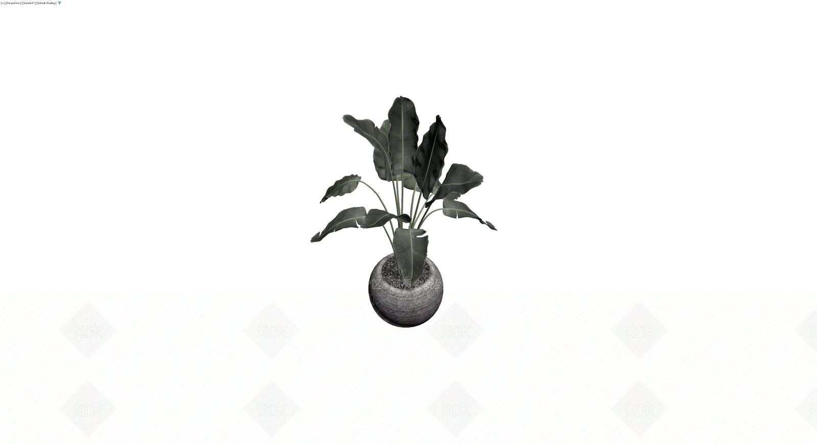 盆栽绿植（带编织花盆）3D模型下载【ID:1230100398】