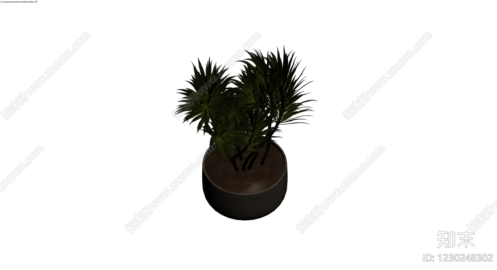 盆栽植物带盆3D模型下载【ID:1230248302】