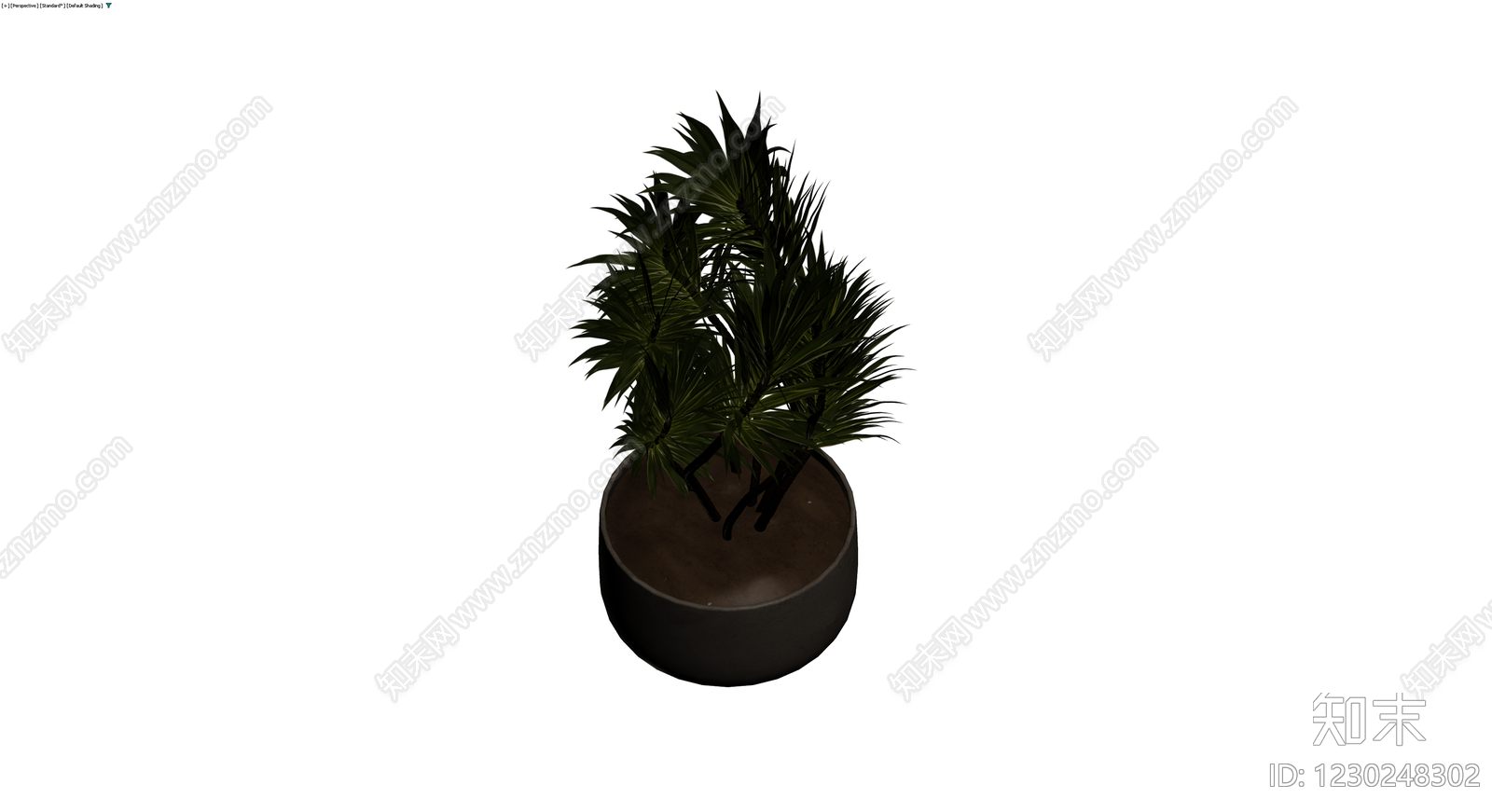 盆栽植物带盆3D模型下载【ID:1230248302】
