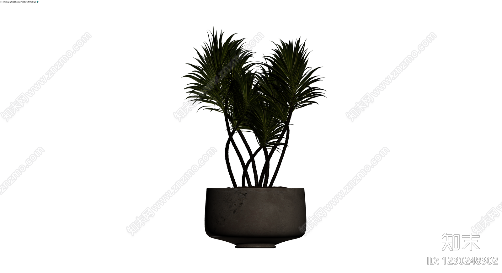 盆栽植物带盆3D模型下载【ID:1230248302】