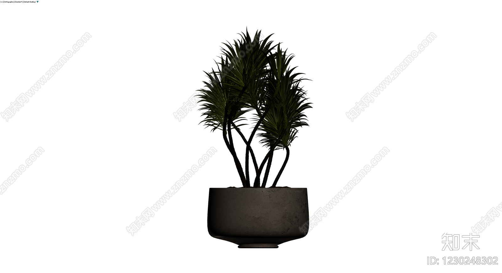 盆栽植物带盆3D模型下载【ID:1230248302】